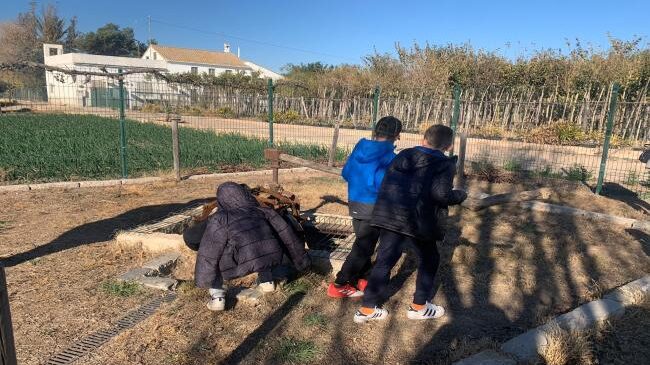 niños del orfanato en una excursión 01 - kreskante kune niños del orfanato en una excursión 01 - kreskante kune